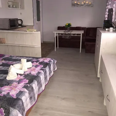 Lägenhet Comfy Studio By The Flower Market Varna